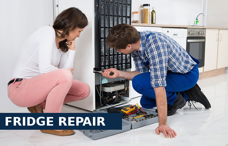 Fridge Repair Clayhall
